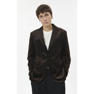 Matinique Colbert 'MAGeorge'  bruin