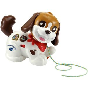VTech Baby Mijn Eerste Puppyvriendje - Educatief Babyspeelgoed - Liedjes & Melodieën Speelgoed