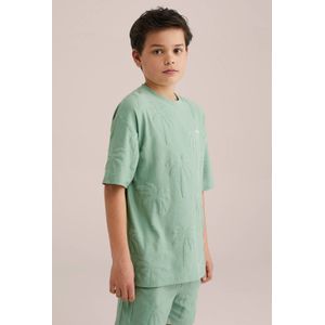 WE Fashion Blue Ridge T-shirt mintgroen
