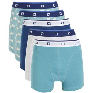 Little Label boxershort van biologisch katoen - set van 5 blauw/lichtgrijs