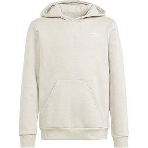 adidas Originals hoodie lichtgrijs