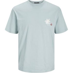 JACK & JONES JUNIOR T-shirt JORMARBELLA met backprint grijsblauw