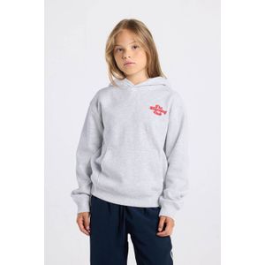 America Today hoodie met backprint lichtgrijs