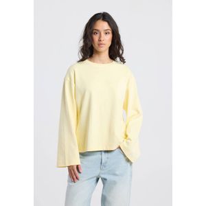 America Today longsleeve lichtgeeel