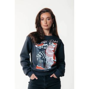 Colourful Rebel sweater donkergrijs