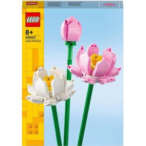 LEGO Iconic Lotusbloemen - 40647