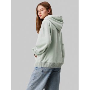 CALVIN KLEIN JEANS hoodie mintgroen