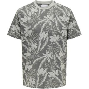 ONLY & SONS regular fit T-shirt ONSPERRY grijs