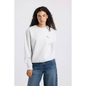 America Today sweater met backprint lichtgrijs