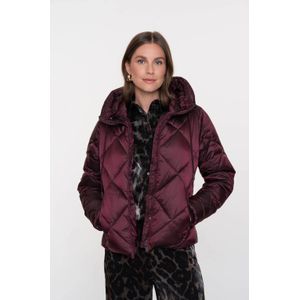 Geisha - Jas - Port - Padded Korte Jas - Dames