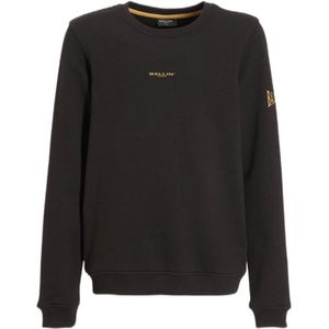 Ballin sweater met backprint zwart/meerkleurig