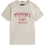 Tommy Hilfiger T-shirt grijs