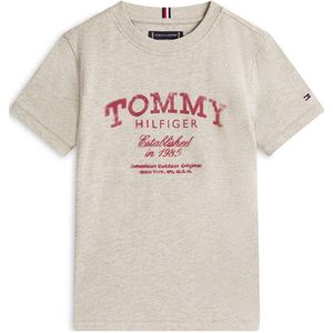 Tommy Hilfiger T-shirt grijs