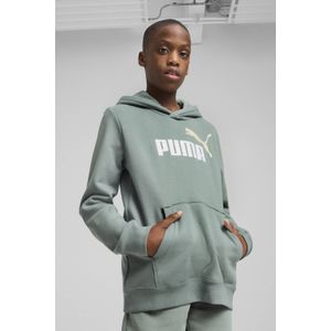 Puma hoodie groen