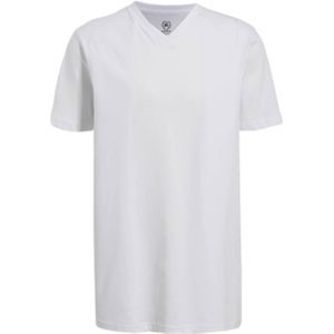 LERROS T-shirt - (set van 2)