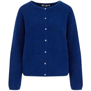 WE Fashion fijngebreid vest blauw