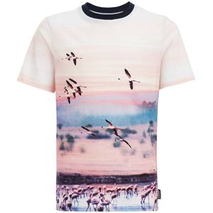 WE Fashion T-shirt met all over print wit/roze/donkerblauw