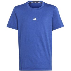 adidas Sportswear sportshirt blauw
