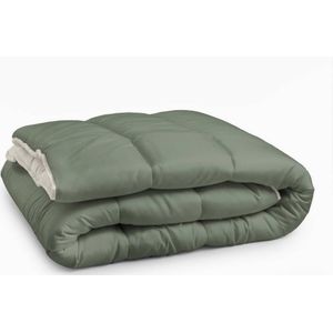 Sleeptime All-in one Omkeerbare Dekbed - Dekbed zonder Overtrek - 240x200 - Creme/Groen