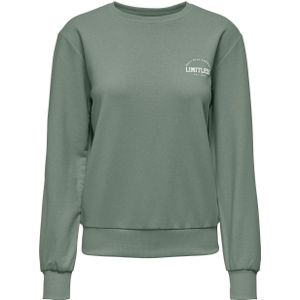 ONLY PLAY sportsweater ONPCAVA grijsgroen