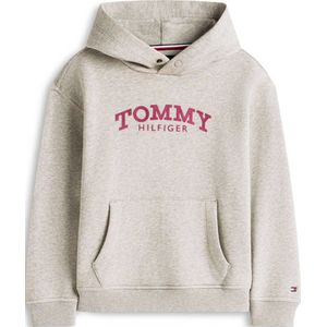 TOMMY HILFIGER Sweatshirt  beige / rood