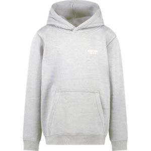 Cars hoodie VANCE lichtgrijs