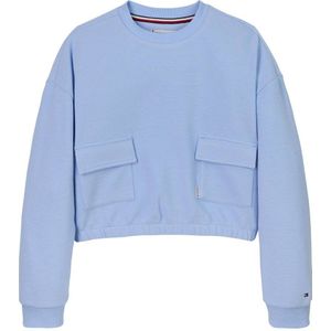 Tommy Hilfiger sweater lichtblauw