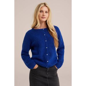 WE Fashion fijngebreid vest blauw