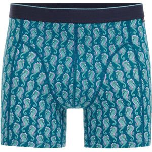 WE Fashion boxershort petrol