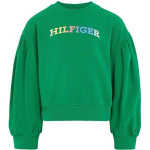 Tommy Hilfiger sweater met tekst groen