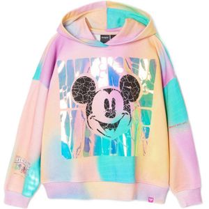 Desigual hoodie multi