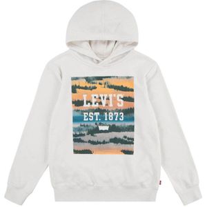 Levi's Kids hoodie met printopdruk beige/multi