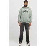 JACK & JONES PLUS SIZE hoodie groen