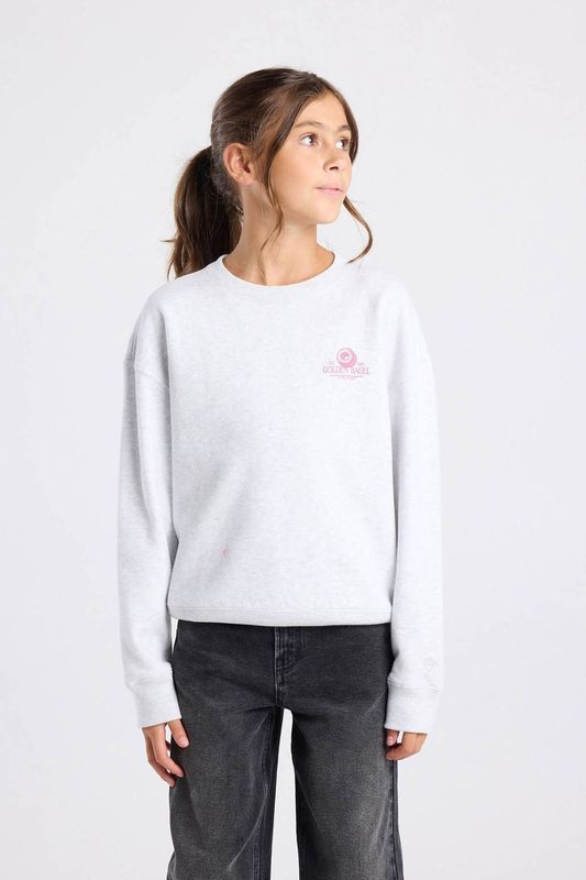 America Today sweater met backprint lichtgrijs