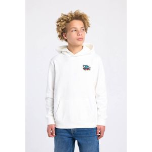 America Today hoodie met backprint wit