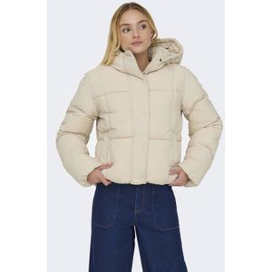 JDY - JDYWONDER SHORT HOOD PUFFER - Gewatteerde Jas - Dames