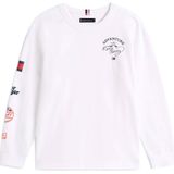 TOMMY HILFIGER Shirt  navy / rood / wit