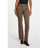 MORGAN - Bootcut Jeans - Multicolor - Hoge Taille - Katoen