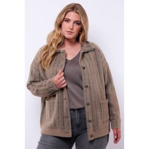 Exxcellent gestreepte gebreid vest bruin met glitter