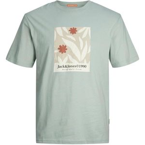 JACK & JONES PLUS SIZE T-shirt JORMARBELLA Plus Size met printopdruk gray mist