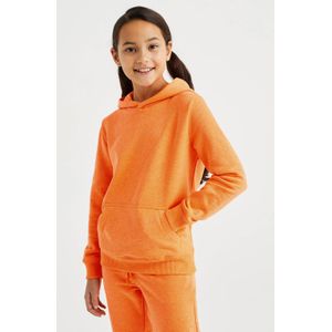WE Fashion Blue Ridge unisex hoodie oranje