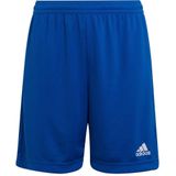 adidas Performance Junior sportshort kobaltblauw