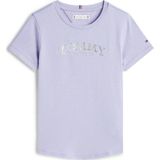 Tommy Hilfiger T-shirt lichtblauw