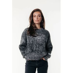 Colourful Rebel sweater zilver