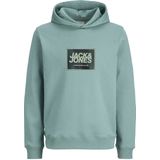 JACK & JONES JUNIOR hoodie blauw