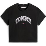 TOMMY HILFIGER Shirt 'VARSITY'  donkergrijs / zwart / wit