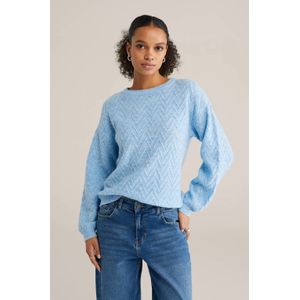 WE Fashion gebreide trui blauw