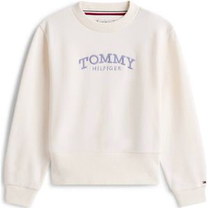 TOMMY HILFIGER Sweatshirt  navy / lavendel / wit