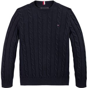 Tommy Hilfiger gebreide trui blauw