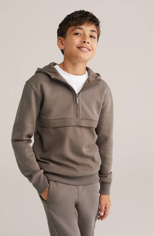 WE Fashion Blue Ridge hoodie bruin